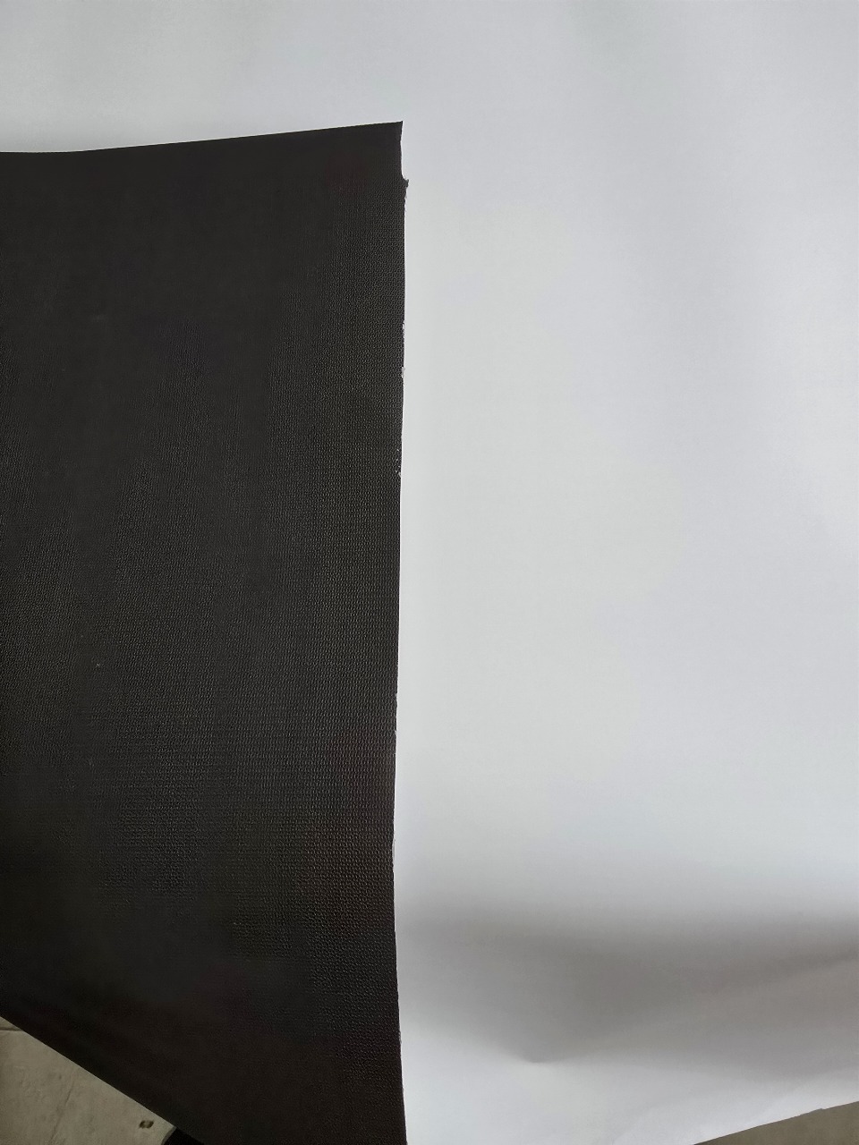 Blackback Banner